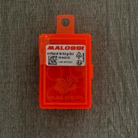 Rulli Malossi 19x15,5 05,5g