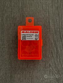 Rulli Malossi 19x15,5 05,5g