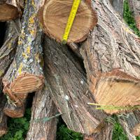 Pali  per recinzione