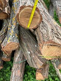 Pali  per recinzione