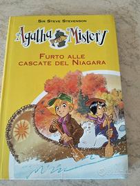 furto alle cascate del Niagara