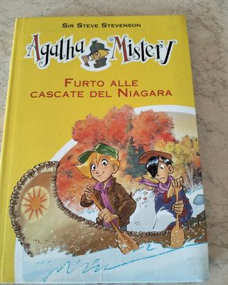 furto alle cascate del Niagara