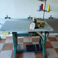 Macchina da cucire professionale