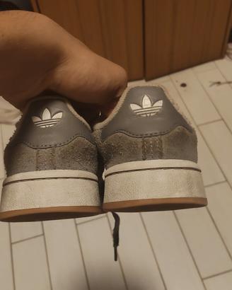 Adidas campus