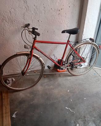 bicicletta 