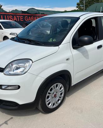 Fiat Panda 1.0 FireFly S&S Hybrid - Unico propriet
