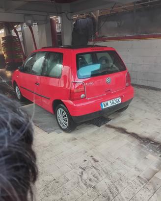 auto targa polacca