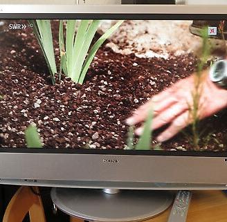 Tv Sony Bravia
