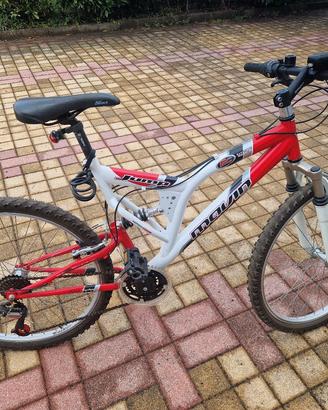 Bicicletta donna