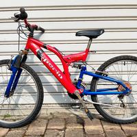 bicicletta ragazzo