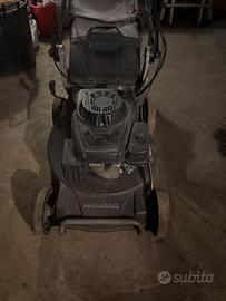 Tosaerba sei ang professionale