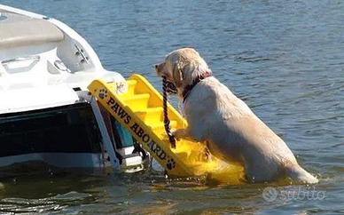 Scaletta per cani