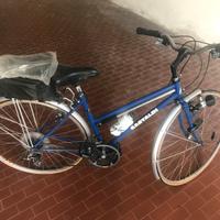 Bicicletta da signora