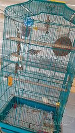 gabia per canarini e cocorite...