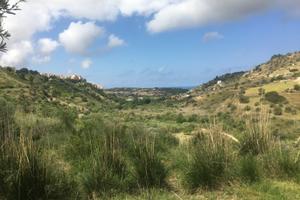 Terreno agricolo con vista a Lascari