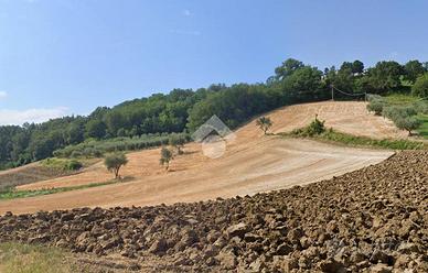 TER. AGRICOLO A MONTESCUDO - MONTECOLOMBO