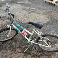 Bicicletta