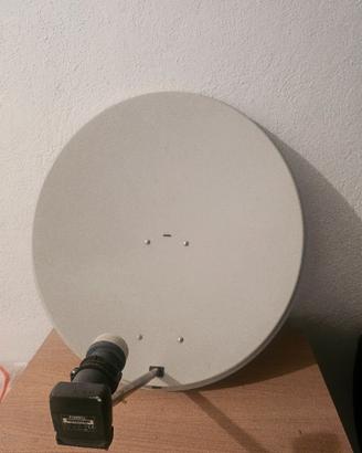 parabola
