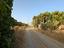 Immagine 12