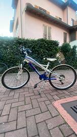 Bicicletta ragazzo marca Samar Shark bay
