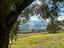 Immagine 26