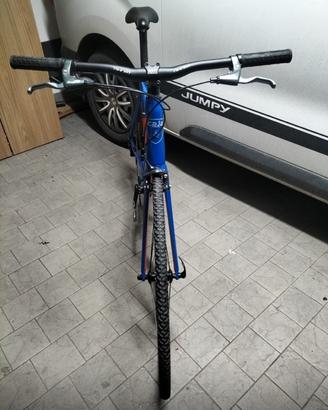 Bici brida in carbonio