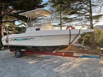 CAPELLI CAP 23 + 2x115hp EVINRUDE