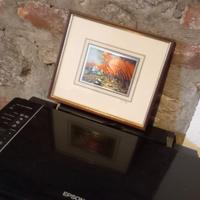 Quadretto raffigurante la autunno con cornice in l