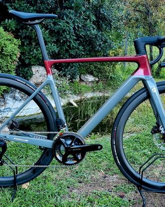 FOCUS IZALCO MAX 8.9 TG M(54)