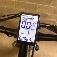 Bicicletta elettrica