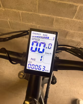 Bicicletta elettrica