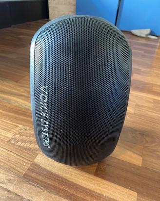 Cassa Attiva Voice Systems Bee Theatre 100W