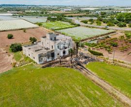 Masseria - Mola di Bari