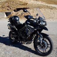 Triump Tiger 800 xrx da vetrina