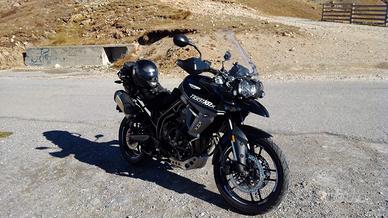 Triump Tiger 800 xrx da vetrina