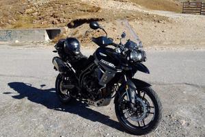 Triump Tiger 800 xrx da vetrina