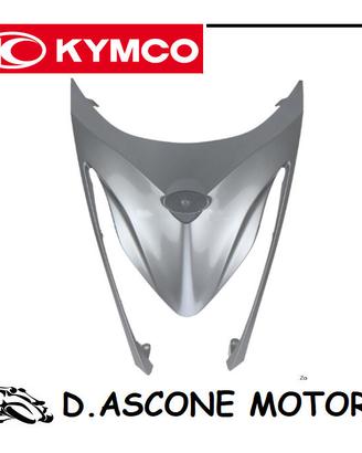 Scudo anteriore antracite scais opaco