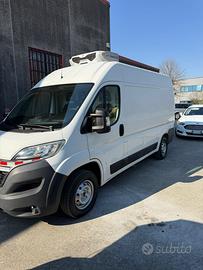 Citroen Jumper frigo