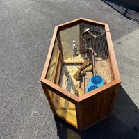 Gabbia per il coniglio nano