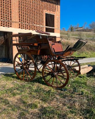 Calesse per 4 persone, 1 cavallo