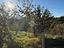 Immagine 19
