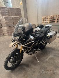 Triumph tiger 1200 rally pro 2024