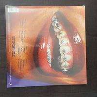 vinile travis scott astroworld