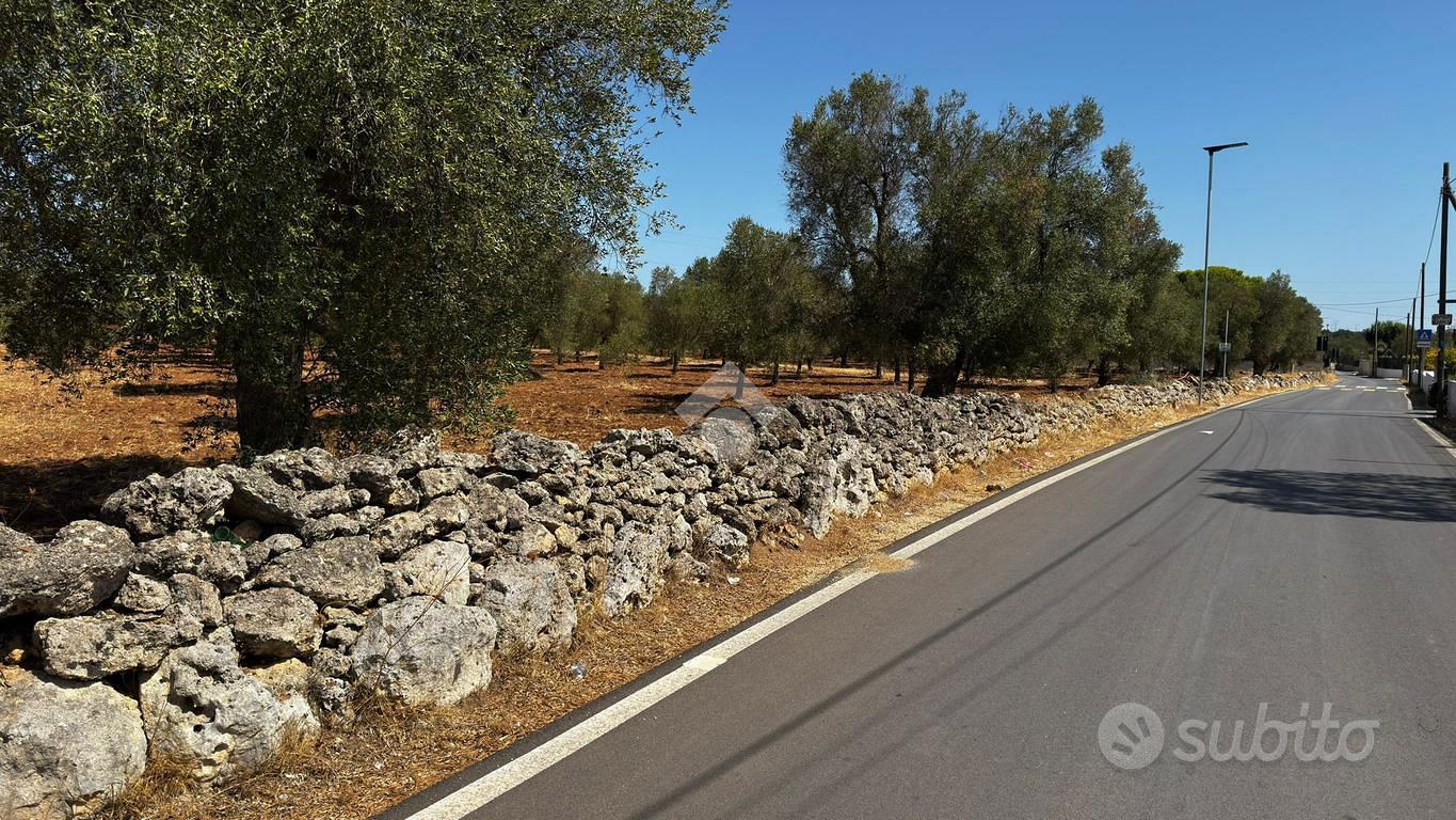 TER. AGRICOLO A GROTTAGLIE - Vista 3