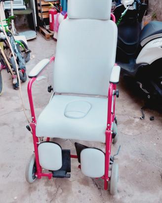 sedia a rotelle 