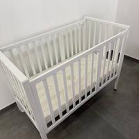 Culla evolutiva ERBESI