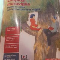 Limpida meraviglia poesia e teatro