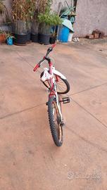 bici Mountain bike