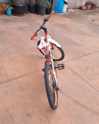 bici Mountain bike