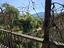 Immagine 25